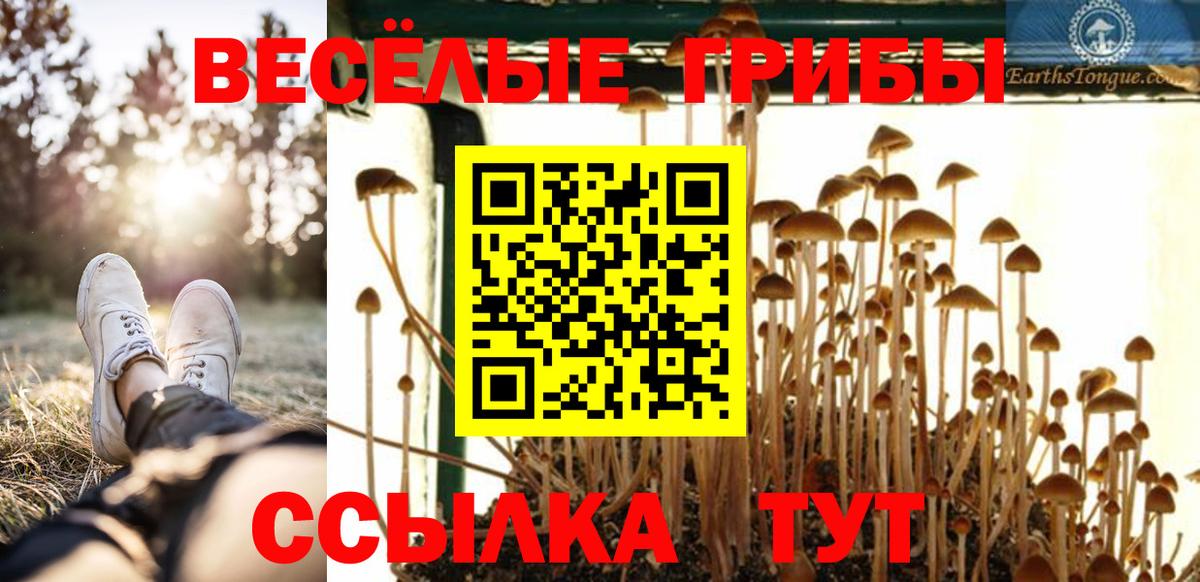Псилоцибиновые грибы мухоморы  Вход с VPN  Иваново 
